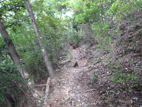 20151006hike (110)